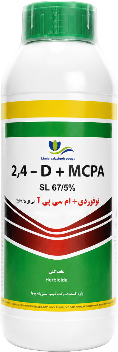 توفوردی و امسیپیای